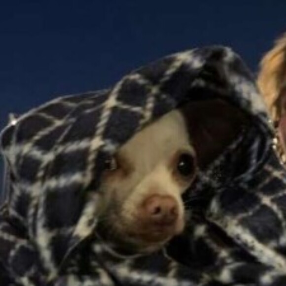 Profile picture of jackjp1111